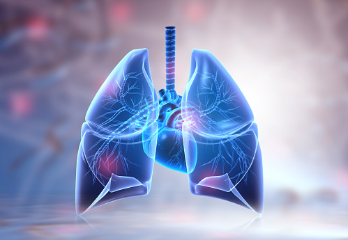 nccn guidelines lung cancer